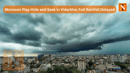 Delayed Monsoon: Central and East Vidarbha to Wait 3-4 More Days
								